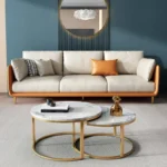 Double Minimalist Light Luxury Sofa: Ideal Addition for Small Apartments